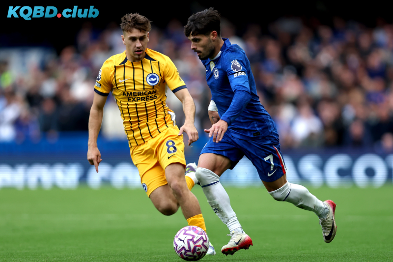 Đội hình dự kiến trước trận Brighton vs Chelsea